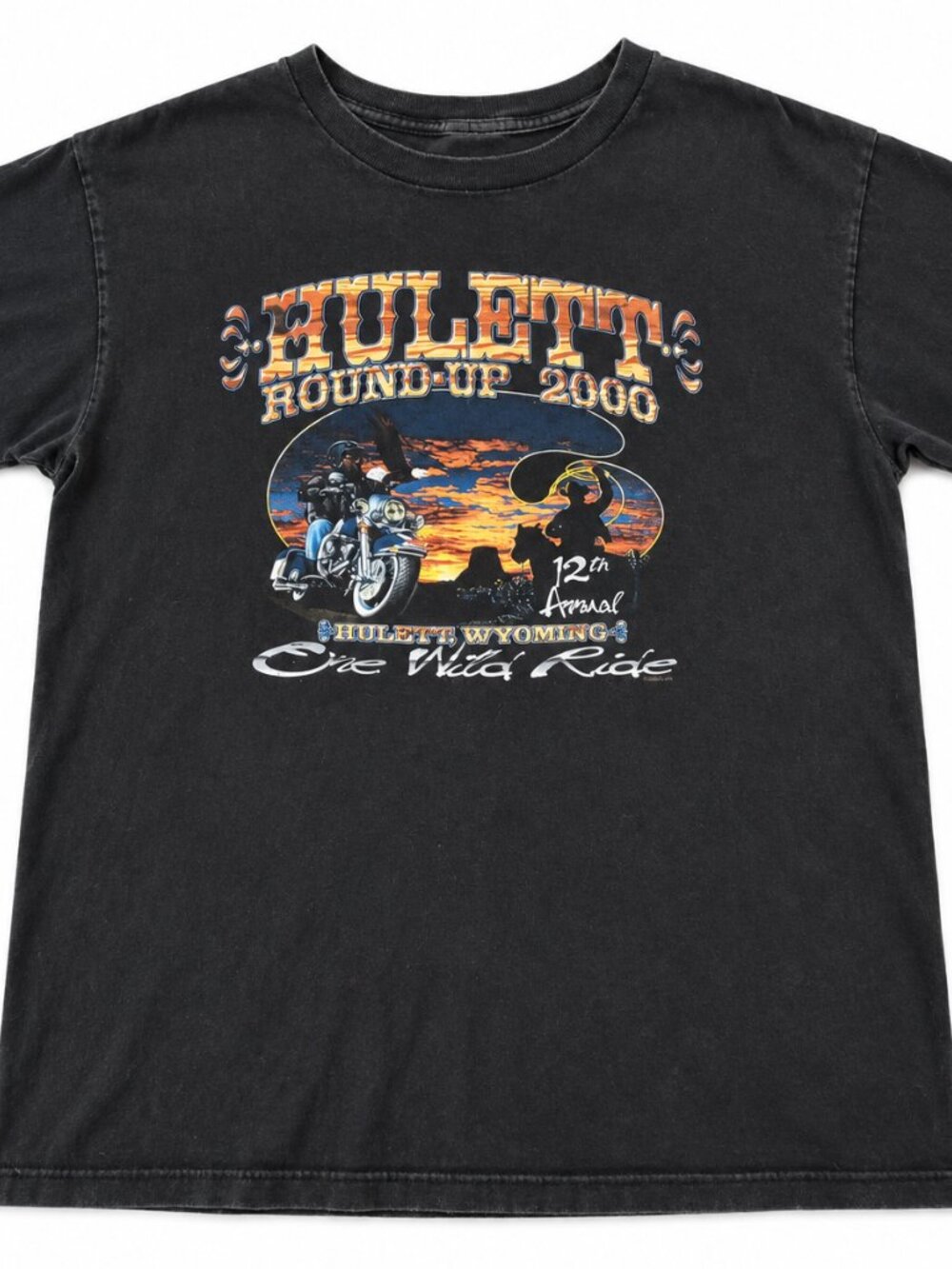 Vintage 2000 Harley Davidson Hulett Round-Up Sturgis Holoubek USA XL T-Shirt